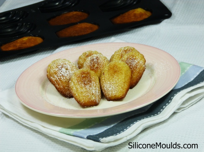 Moule à 9 madeleines silicone