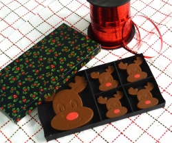 4+1 Rudolph / Reindeer Chocolate Collection Silicone Mould
